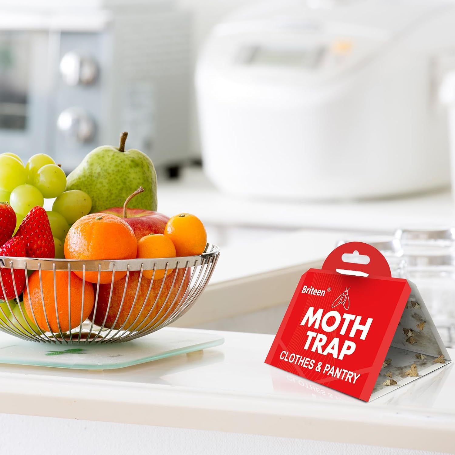 Pantry Moth Traps 10-Pack Safe and Effective for Food and Clothing- Glue Traps with Pheromones for Wool Closet Carpet Food and Cupboard K10