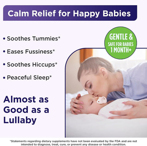 Wellements Organic Nighttime Gripe Water Colic Gas & Fussiness 1 Month+