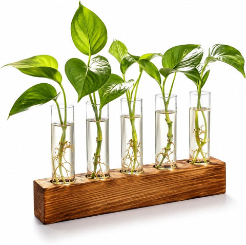 Renmxj Plant Propagation Station, Plant Terrarium with Wooden Stand