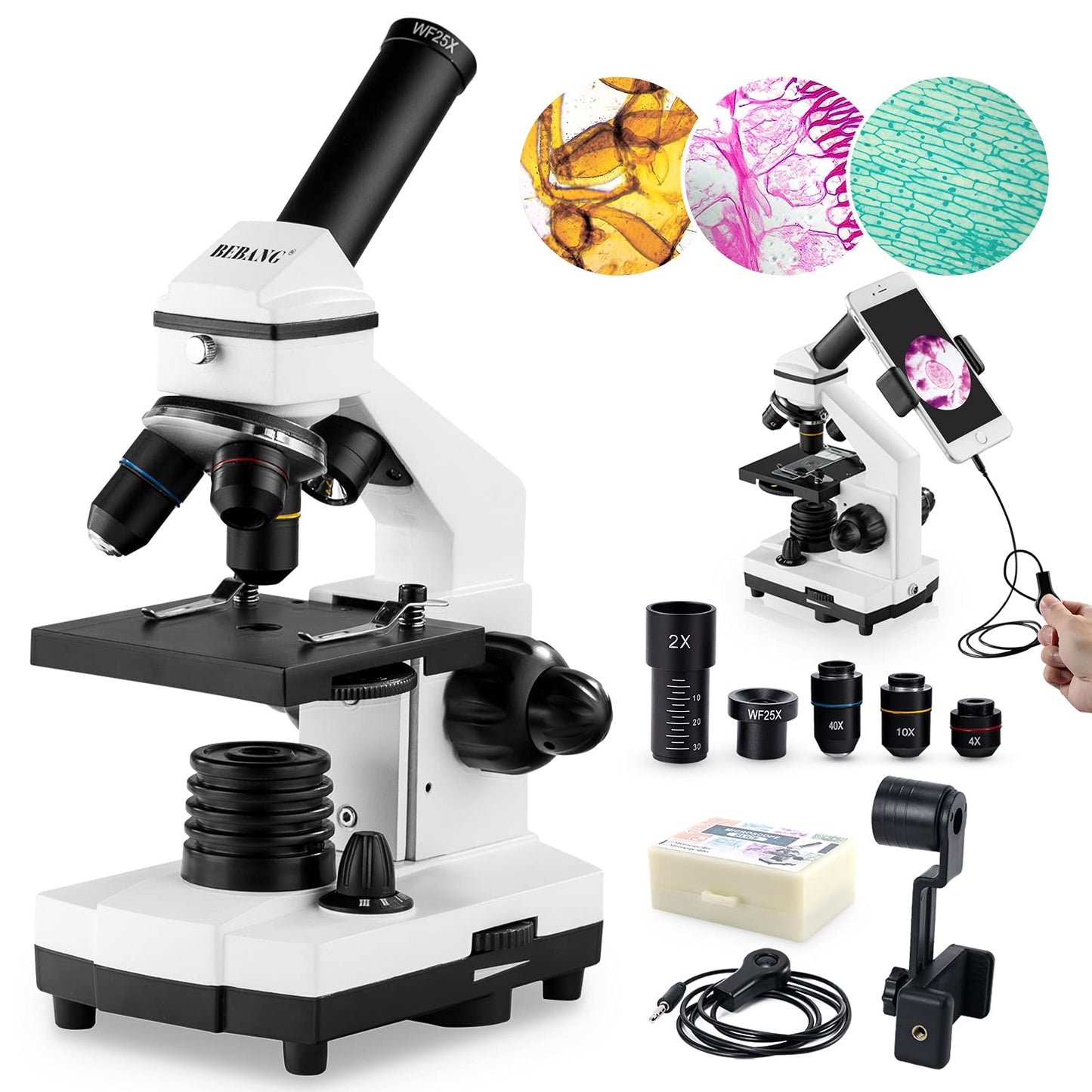 Microscope for Adults Kids, 100X-2000X BEBANG Compound Microscope with Microscope Slides, Microscope Kit for Kids Students Home School Lab