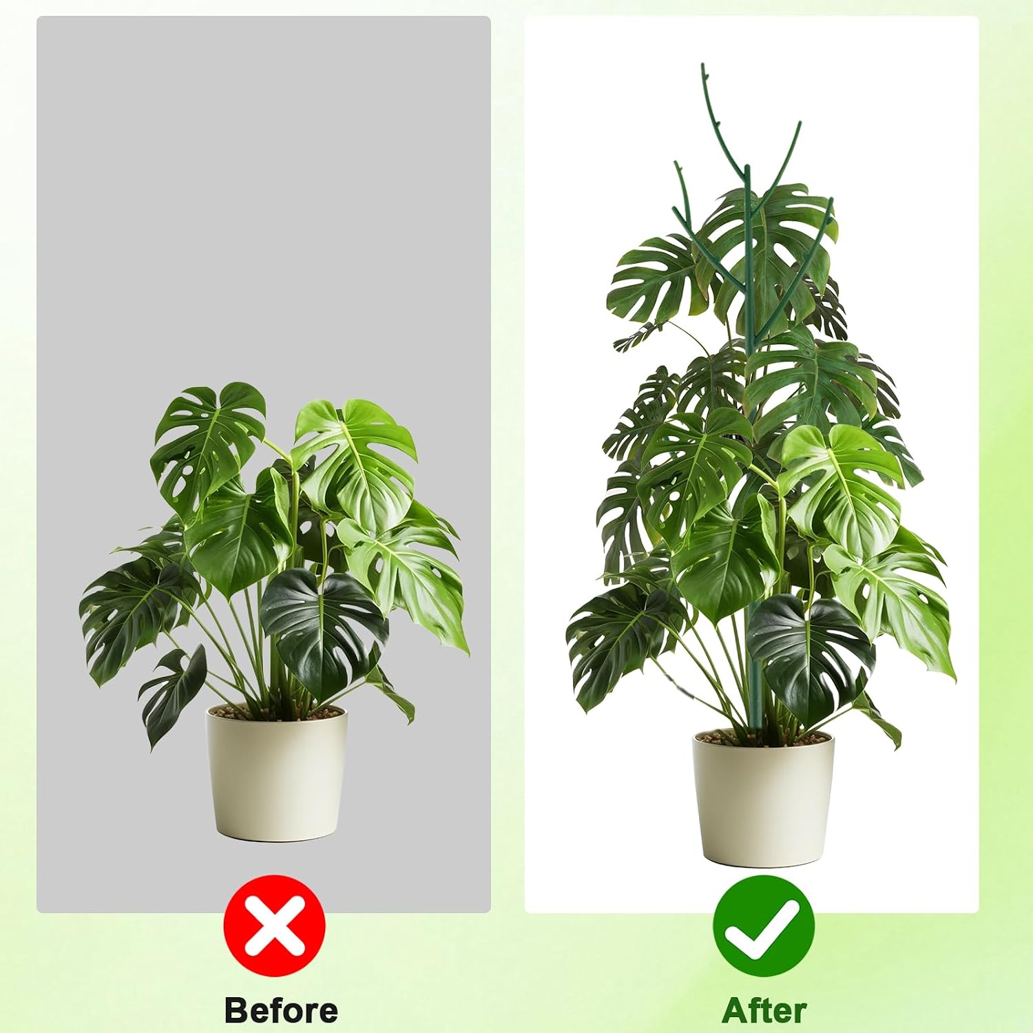 PERSZEN 6 Pack Stackable Monstera Plant Support, Plant Stakes for Indoor and Outdoor Plants Use, Garden Stakes for Climbing and Potted Plants, Pothos, Philodendron