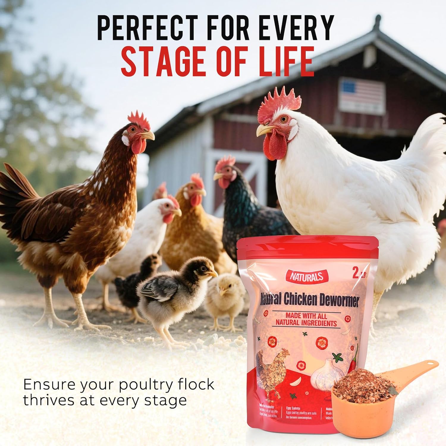 Naturals Armor Chicken Dewormer Powder, Chili Mix Wormer for Flock Poultry