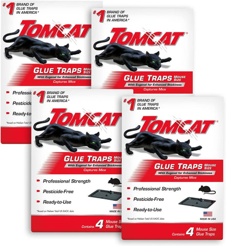 Tomcat Glue Traps Mouse Size with Eugenol, 16 Sticky Traps