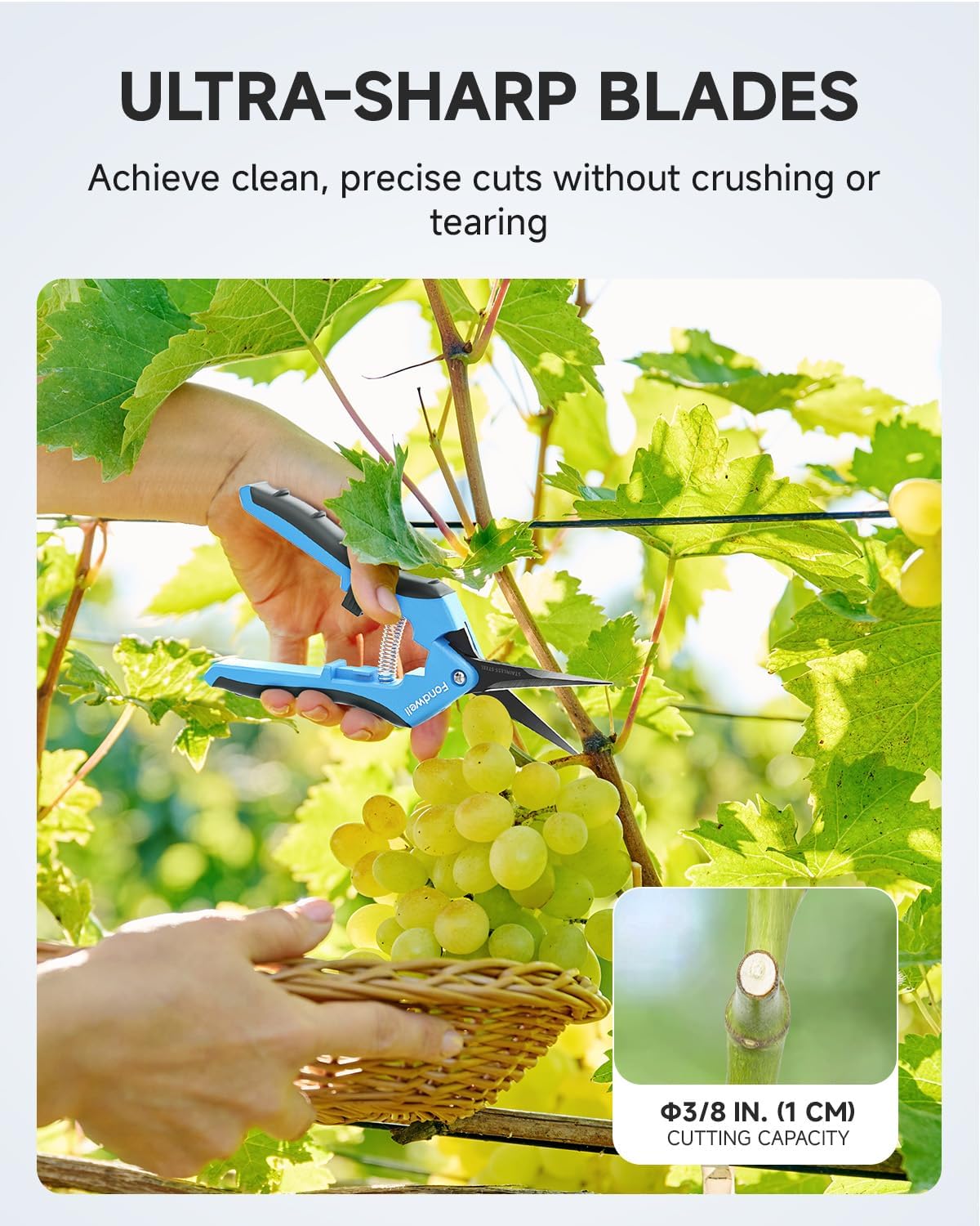 Fondwell 6.5" Small Pruning Shears for Gardening, Plant Trimming Scissors