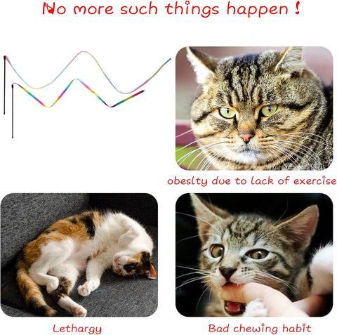 Cat Wand Toys Interactive Kitten Toys for Indoor Cats-2Pcs