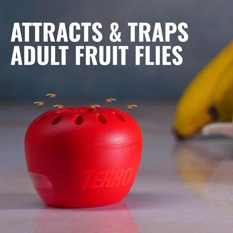 TERRO Fruit Fly Trap 4-Pack, 180 Day Lure Supply, Food-Based Lure
