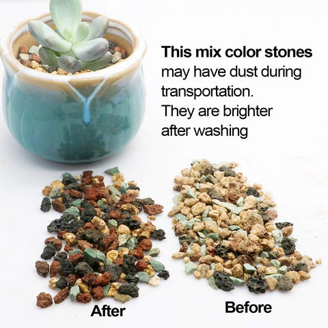 Mix Horticultural Lava Pebbles Pumice Potting Soil Amendment Succulent Cactus Bonsai Gritty Rock Decorative Gravel Plant Drainage Volcanic Rock for Terrarium Fairy Gardening Top Dressing 2.2lb