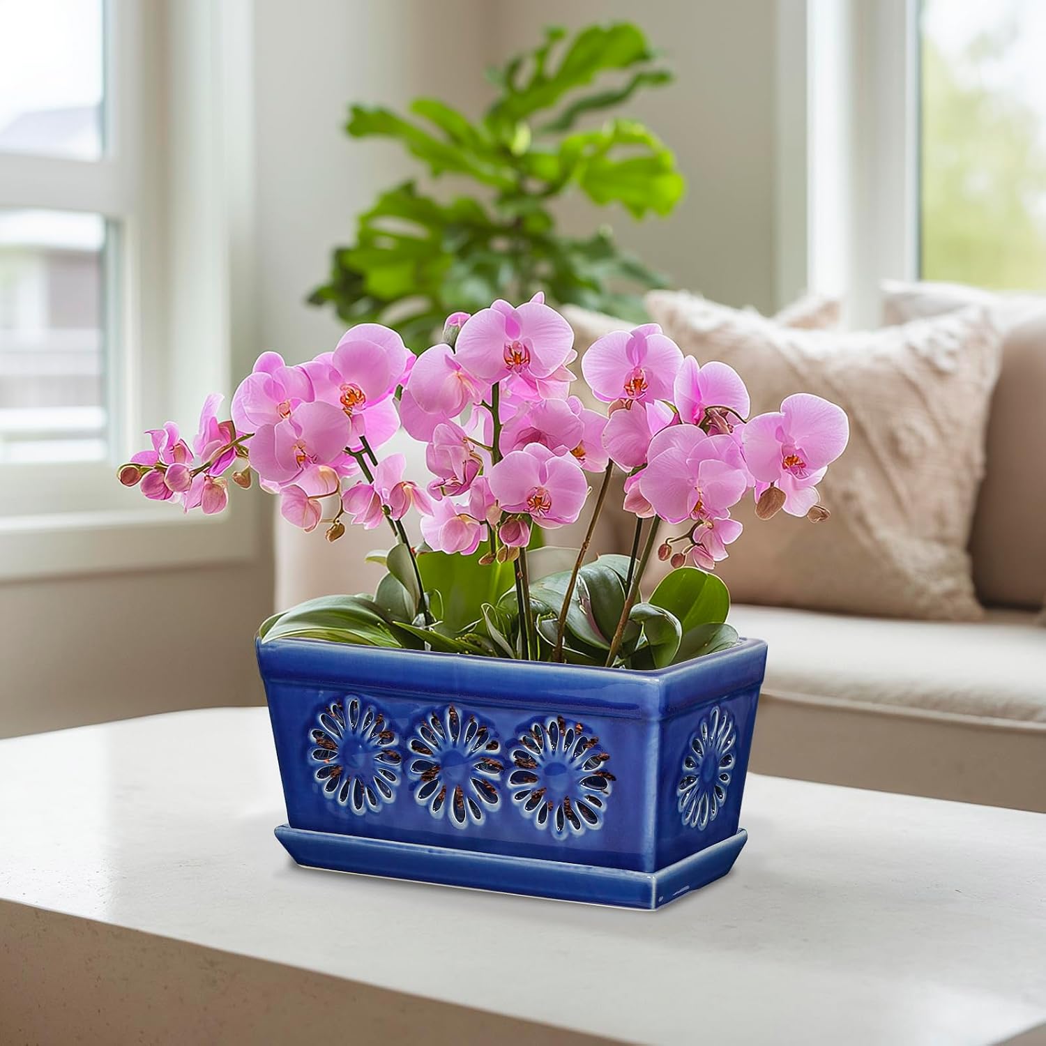 EFISPSS 10 Inch Orchid Pot, Ceramic Orchid Pots with Holes, Indoor Flower pots with Drainage and Saucer, Plant Pots Enhance Good Ventilation - Blue