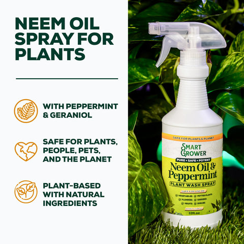 Neem Oil Spray for Plants with Peppermint Oil. Indoor & Outdoor Plant Use