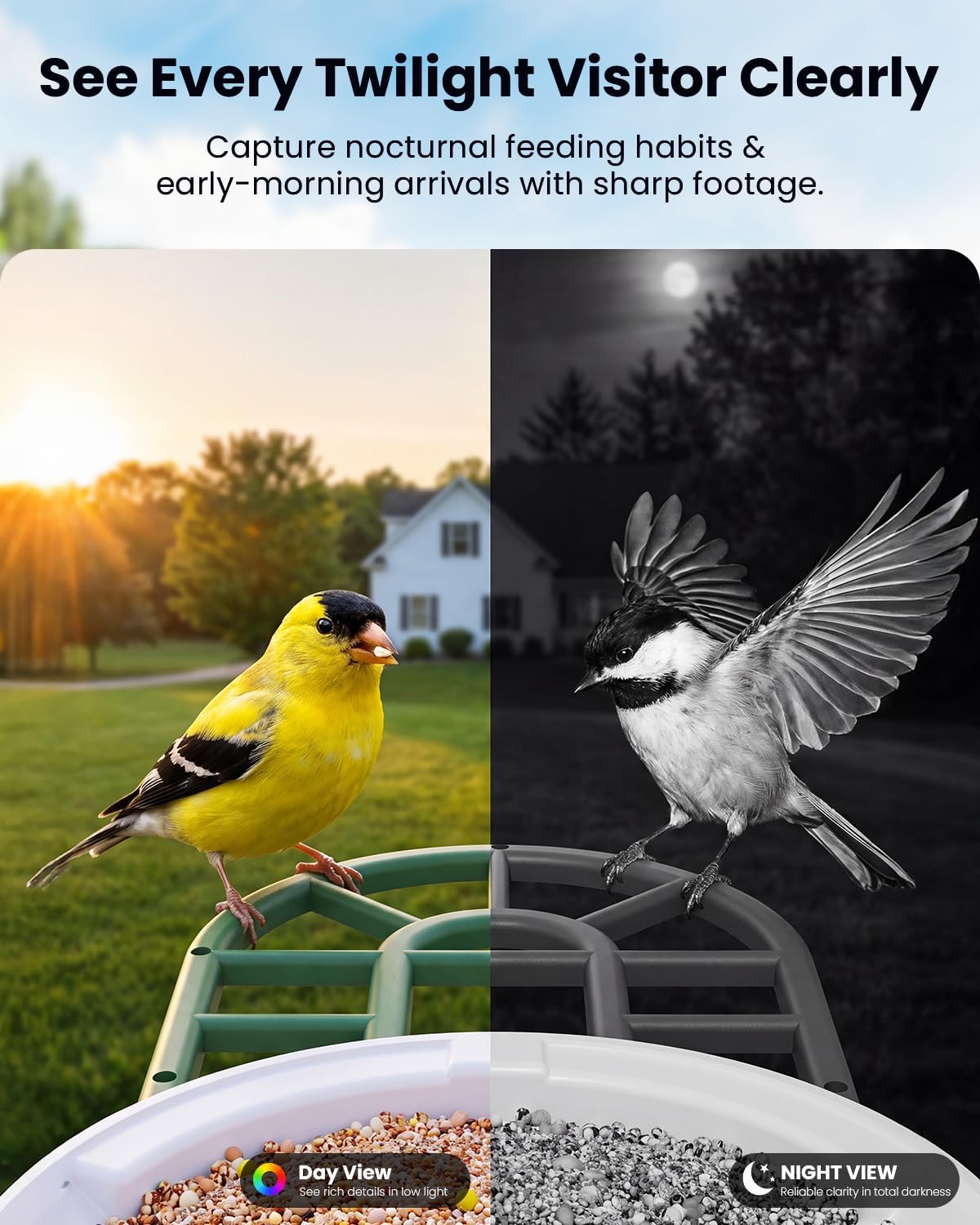 HARYMOR Bird Feeder with Camera, 2K Live Video, AI Identify Bird Species
