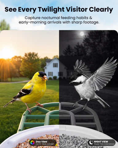 HARYMOR Bird Feeder with Camera, 2K Live Video, AI Identify Bird Species