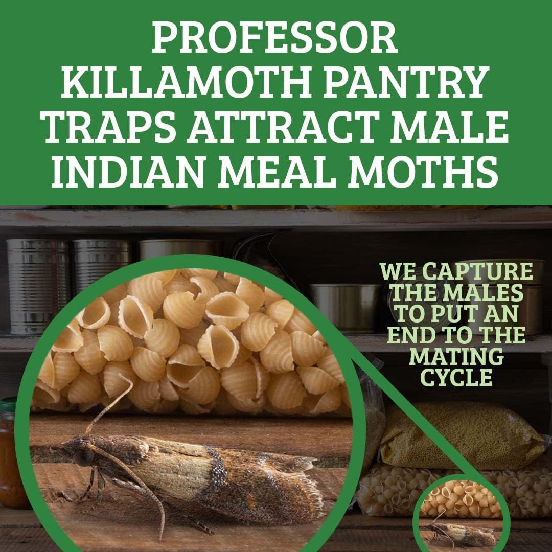 Professor Killamoth Pantry Moth Traps with Pheromones - 6 Sticky Glue Traps