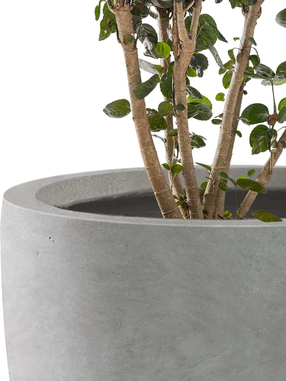 Kante Set of 3 Pale Gray Concrete Bowl Planters 18" 14" 10" Dia