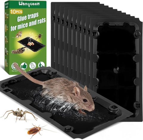 10 Pack Glue Mouse Traps Indoor for Home, Sticky Rat Trap for Pest Control