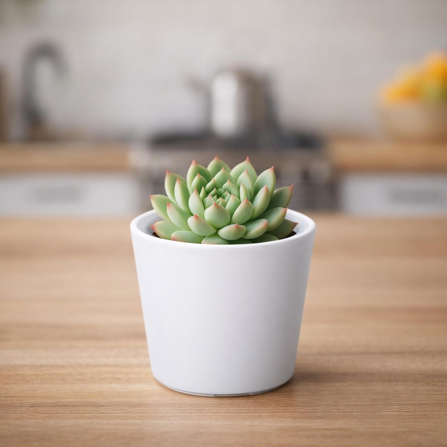 Phoenix Vine 3.5 Inch White Plastic Cachepot with Clear Nursery Pot, Decorative Lightweight Planter Cover with Transparent Inner Pot for Indoor Houseplants, Pack of 8, 24-A-D-8