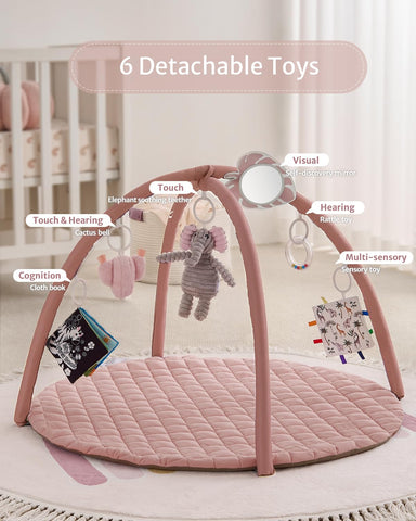 Blissful Diary Baby Play Gym Mat, Tummy Time Activity Mat with 6 Detachable Toys for Skill Development, Baby Essentials Gift, Soft Pink