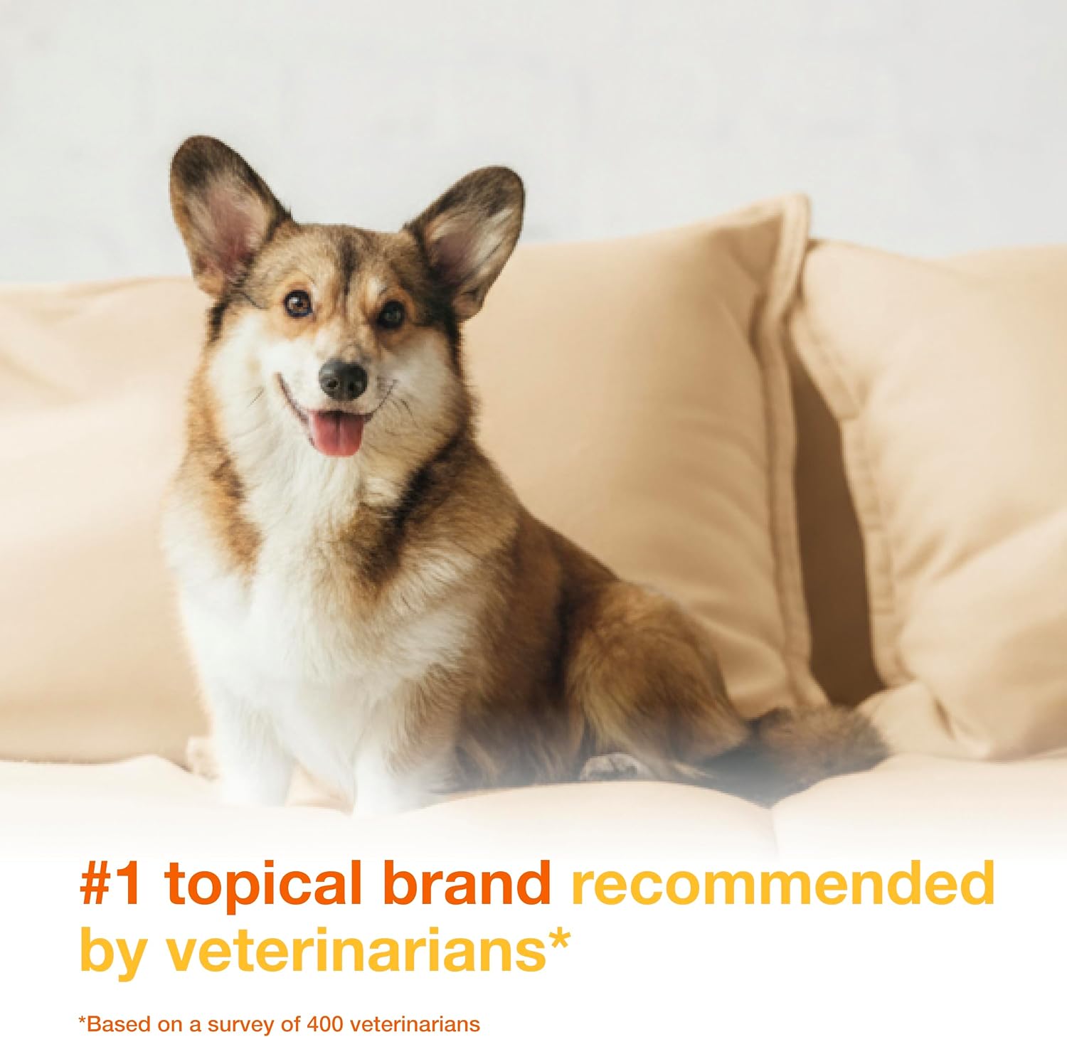 Douxo S3 PYO Medicated Dog Mousse - Bacterial & Yeast Infection Treatment