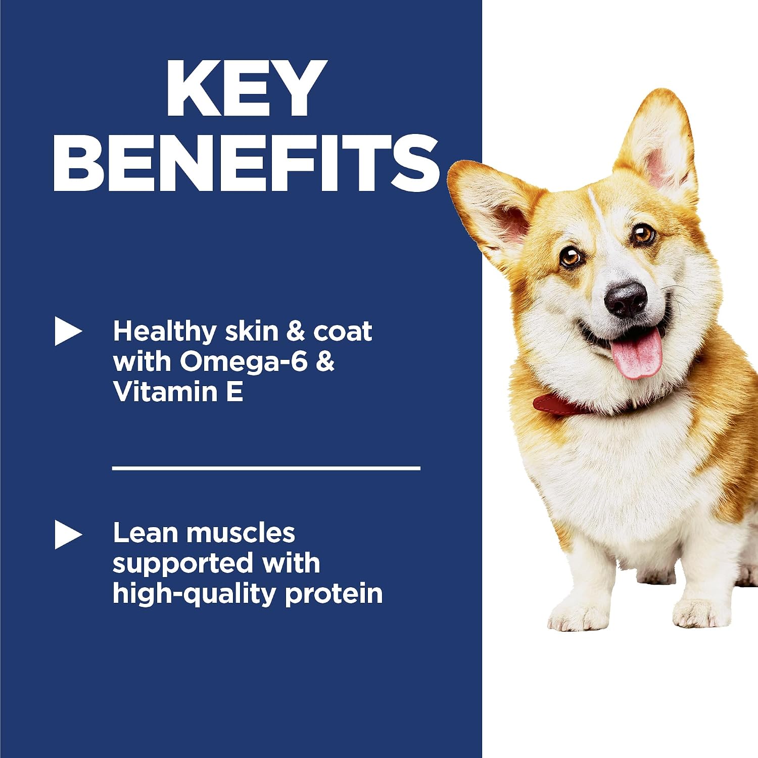 Hill's Science Diet Adult 1-6 Small Bites Dry Dog Food