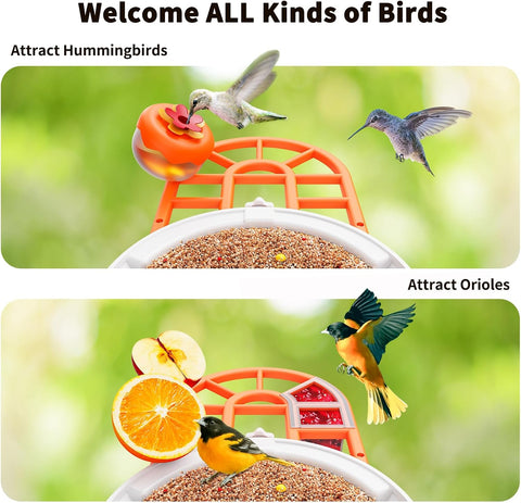 HARYMOR Bird Feeder with Camera
