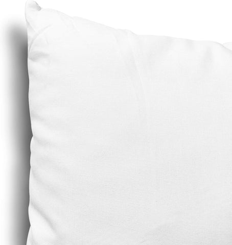 EDOW Throw Pillow Inserts, Set of 4 Lightweight Down Alternative Polyester Pillow, Couch Cushion, Sham Stuffer, Machine Washable. (White, 16x16)