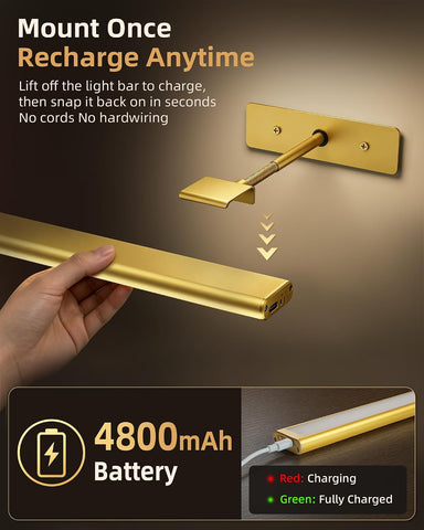 EZVALO Picture Light for Wall, 4800mAh Rechargeable Wireless Remote, 16‘’ Dimmable Magnetic LED Art Display Light with 3 Color Temperatures, for Gallery, Living Room, Bedroom, Hallway (Gold)