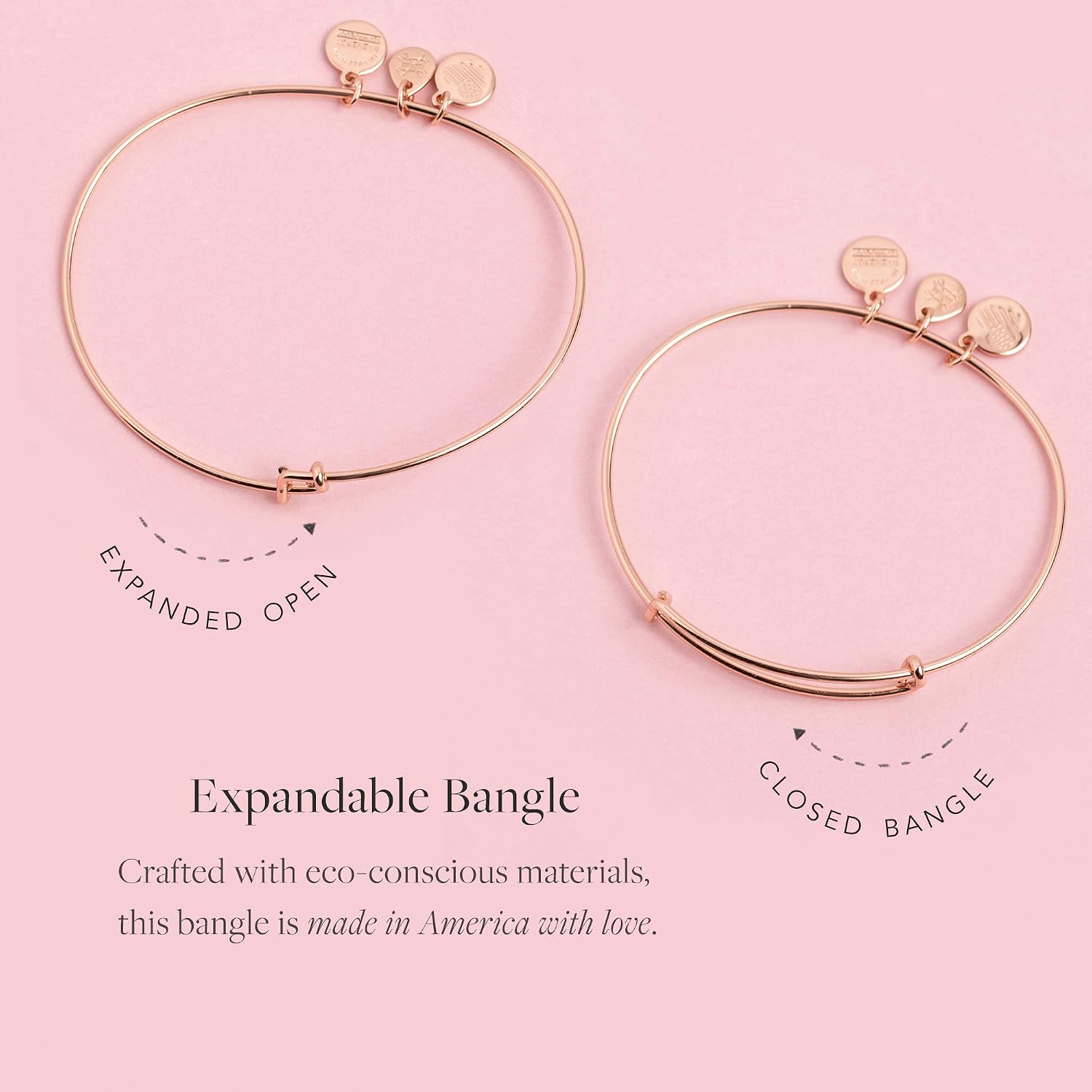 Alex and Ani Birthstones Bangle for Women, Crystal Charm for Every Month, 2 to 3.5 in