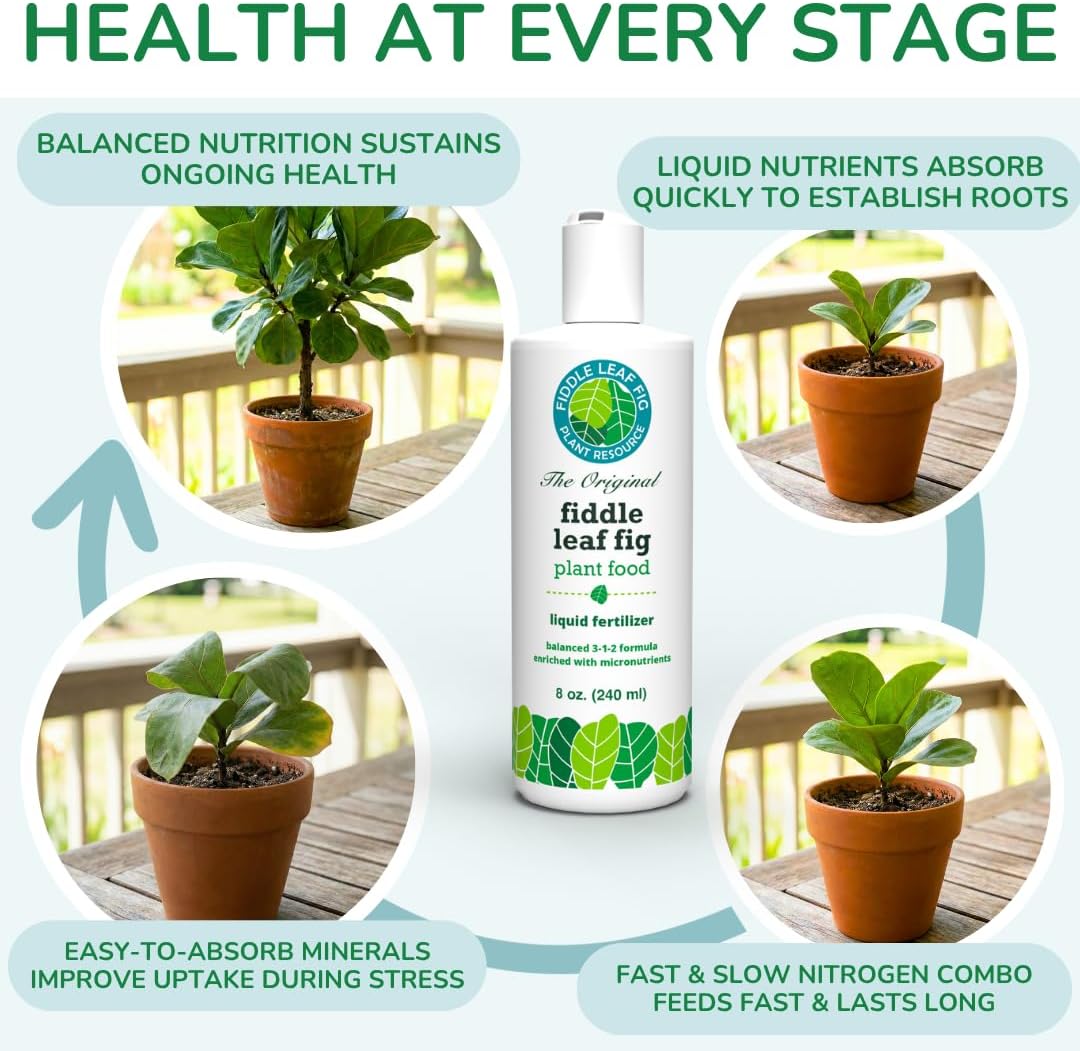 Fiddle Leaf Fig Plant Food, 3-1-2 NPK Liquid Fertilizer for Ficus, 8 oz