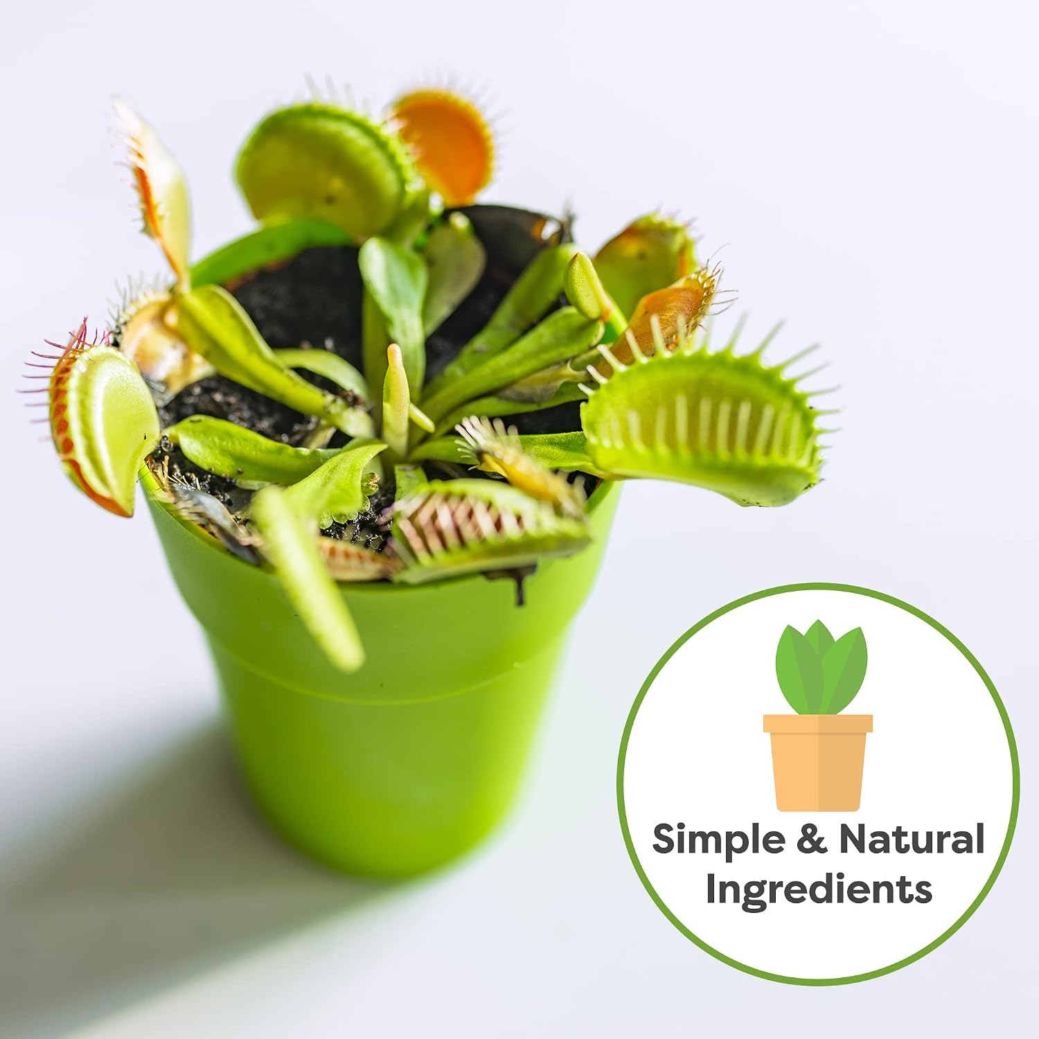Perfect Plants Carnivorous Plant Soil, 1 qt, Venus Fly Trap Potting Mix