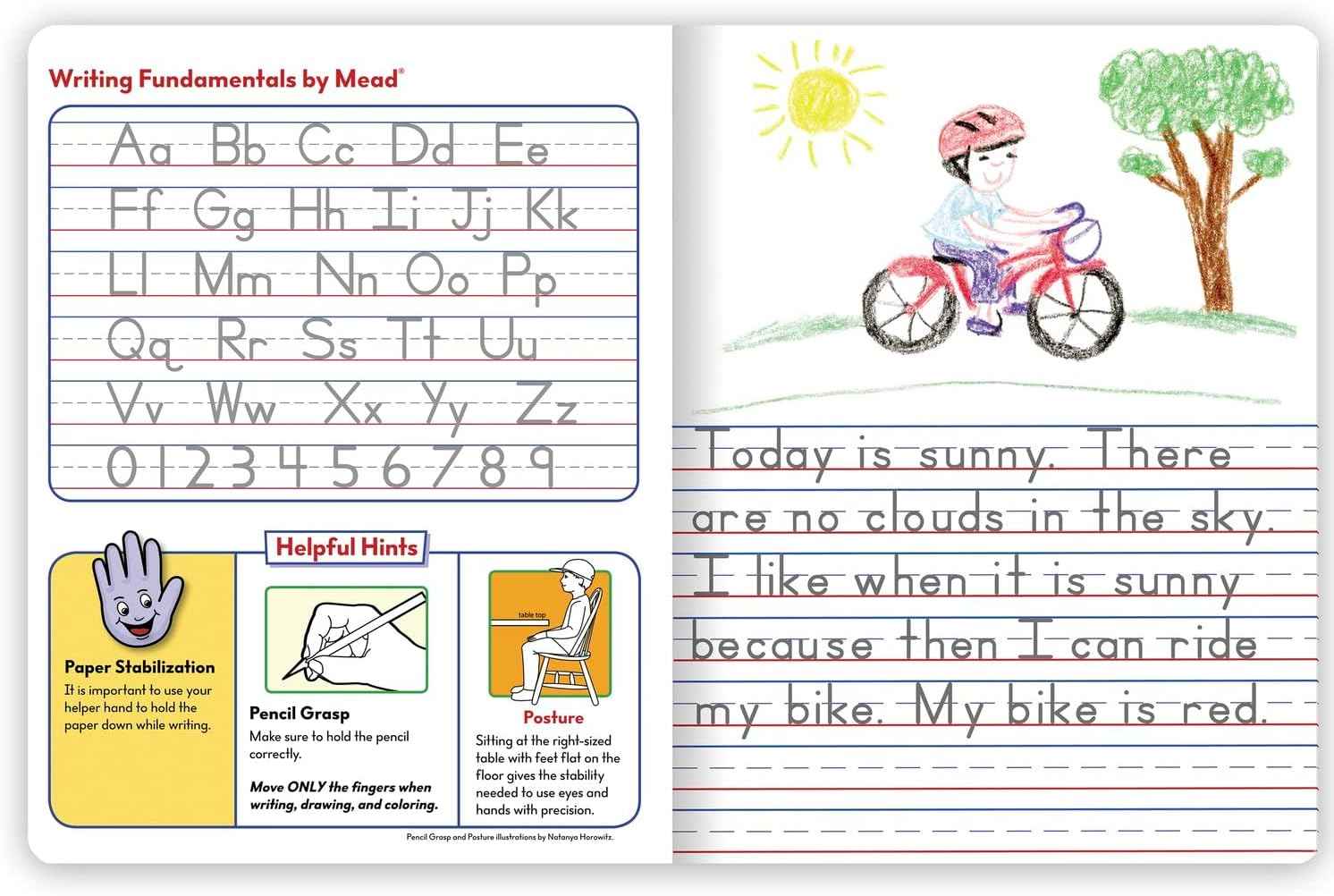 Mead Primary Composition Book, Primary Ruled Journal, Grades K-2, 7-1/2" x 9-3/4", 100 Sheets per Comp Book, Colors Will Vary, 12 Pack (610054-ECM)