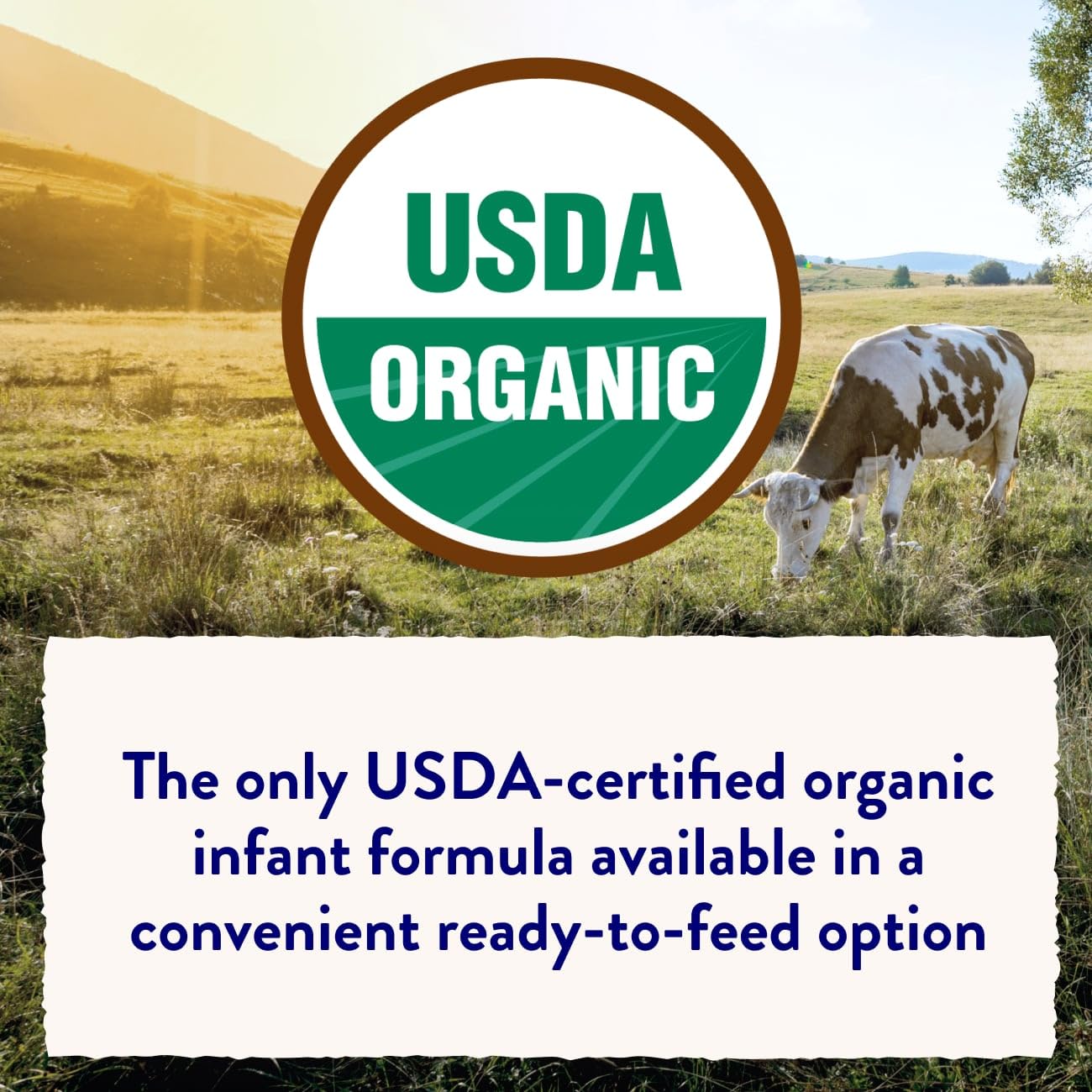 Similac Organic Infant Formula, Easy to Digest, USDA-Certified Organic, Powder, 20.6-oz Tub
