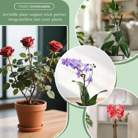 Invisible Orchid Sticks 17 inch &11 inch SupKing 16Pcs Plant Stakes with Clips for Support Small Short Plants,Garden Stakes Support Poles Suit for Potted Plants Flowers Peony Rose (Brown)