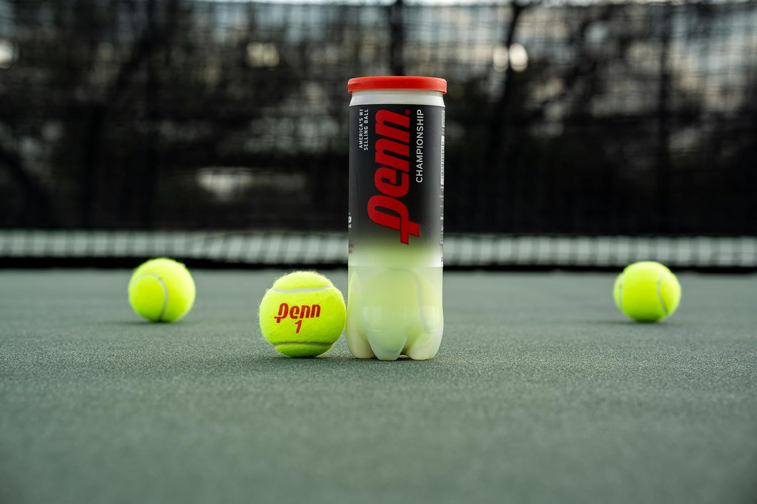 Penn Championship Tennis Balls - Regular Duty