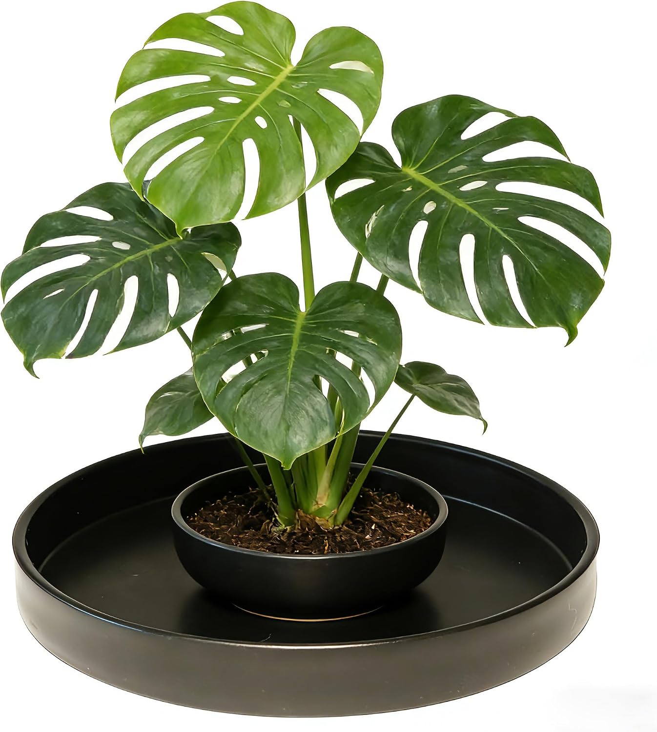 2 Pack 8 inch Plant Saucer Drip Tray, Heavy Sturdy Plastic Planter Flower Pot Drainage Tray Plate Saucers for Indoor Outdoor Garden, Plant Water Drip Trays for pots Base (8", Black)