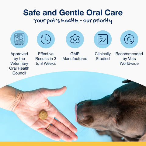 ProDen PlaqueOff Dental Soft Chews with Natural Kelp for Dogs - 90 Ct