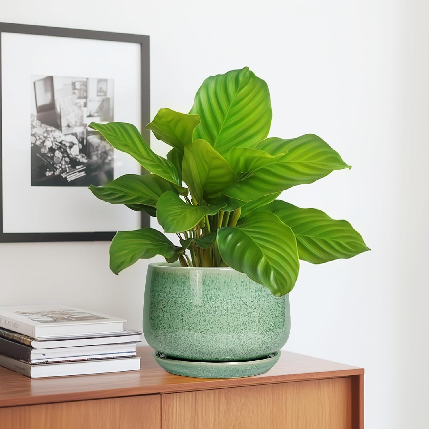 G EPGardening Ceramic Plant Pot - 7 Inch Ceramic Planter, Green