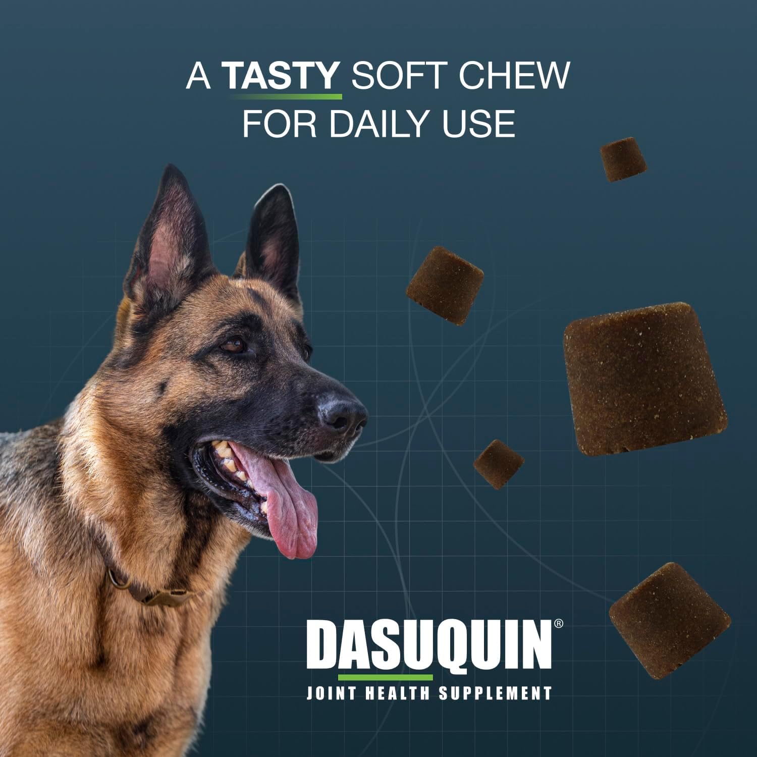 Nutramax Dasuquin MSM Joint Supplement for Large Dogs, Soft Chews, 150ct