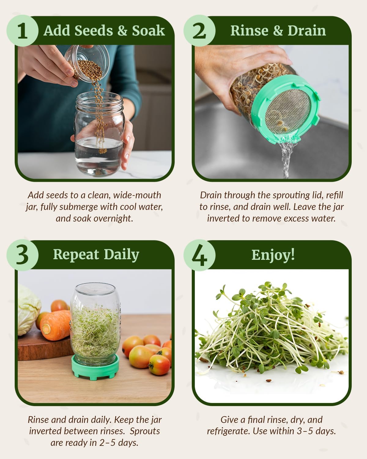Elementi Sprouting Lids for Wide Mouth Mason Jars (Set of 4), Sprouting Jar Kit for Organic Sprouts, Alfalfa & Mung Bean Sprouts Grow Kit, 316 Stainless Steel Mesh Screen Strainer Lid (Mint Green)