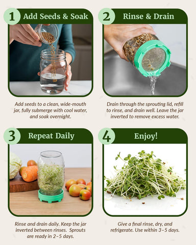 Elementi Sprouting Lids for Wide Mouth Mason Jars (Set of 4), Sprouting Jar Kit for Organic Sprouts, Alfalfa & Mung Bean Sprouts Grow Kit, 316 Stainless Steel Mesh Screen Strainer Lid (Mint Green)