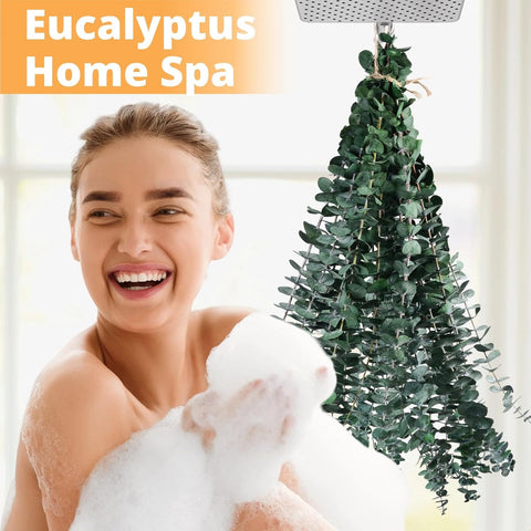 12PCS Dried Eucalyptus for Shower Hanging Real Preserved Eucalyptus Stems