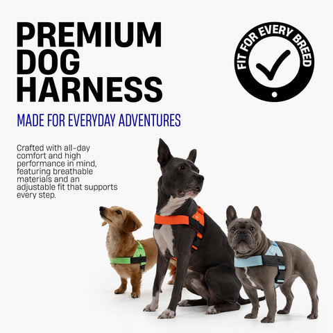 Dog Friendly Co. Dog Harness for Large Sized Dogs (Black, Extra Large)