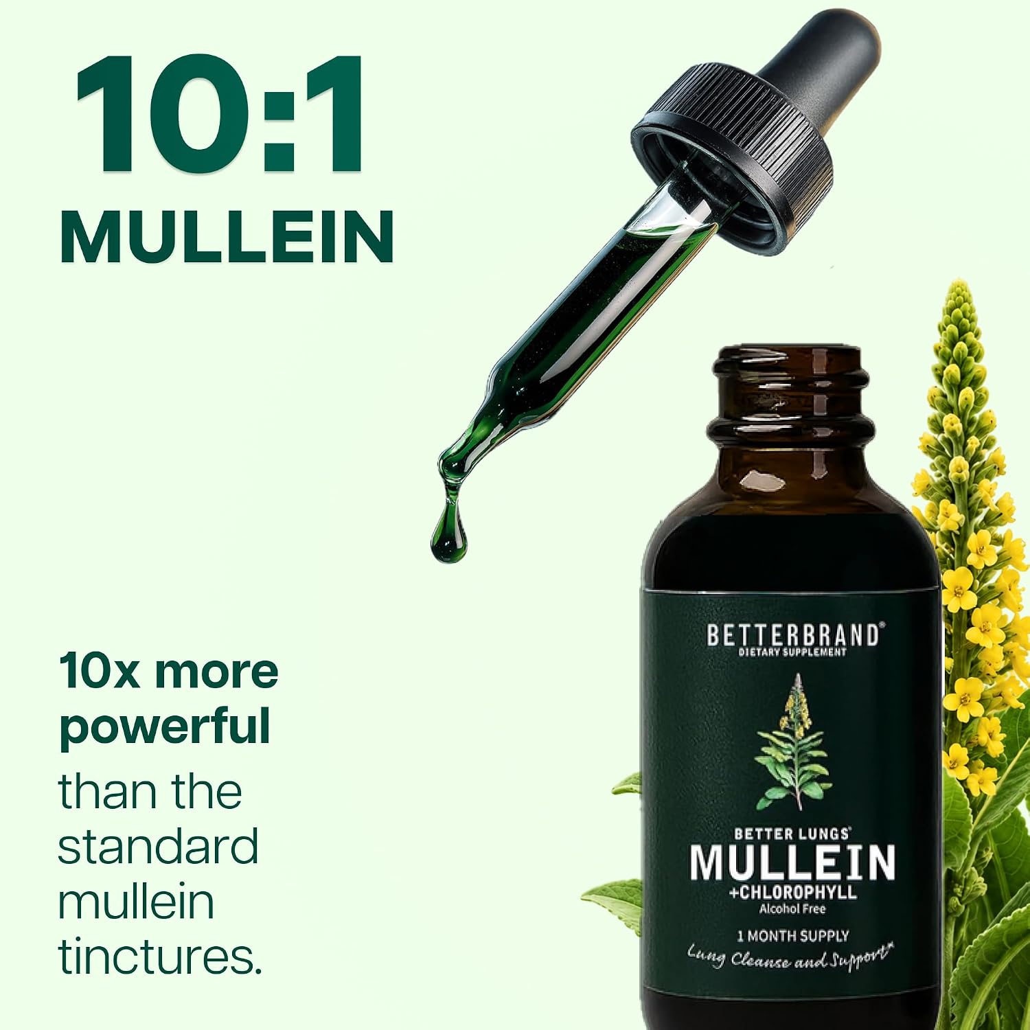 Betterbrand Mullein Drops, Alchohol-Free Lung Detox with Chlorophyll