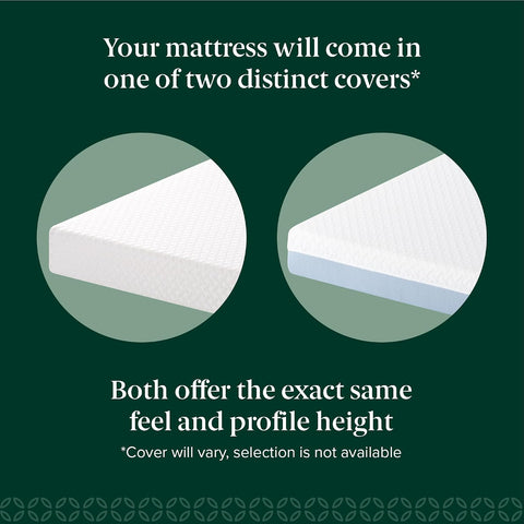 Zinus 5 Inch Twin Cooling Essential Memory Foam Mattress, Medium Feel
