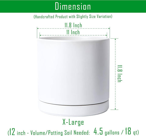 D'vine Dev 12 Inch Ceramic Planter Pot, White, 94-O-F-1