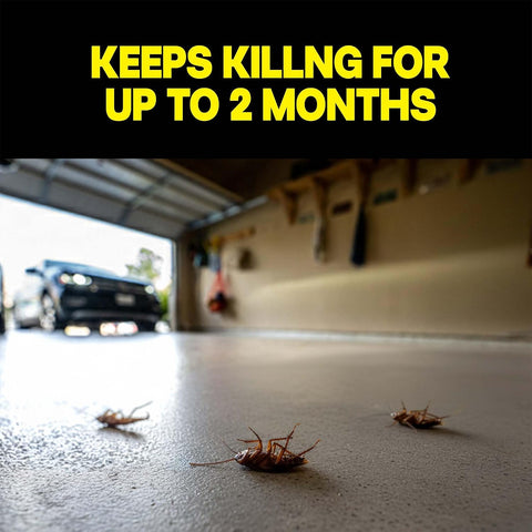 Raid Concentrated Deep Reach Pest Killer & Roach Fogger, 1.5 fl oz, 4 Count