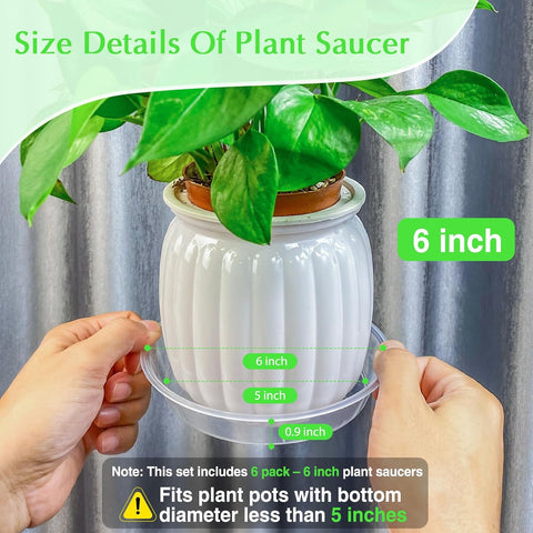 FUIJOL 6 Pack Clear Plant Saucer, Durable Plant Drip Trays Saucers for Pots, No Holes Water Catcher Trays for Indoor Outdoor Planter, Sturdy Base Plate(6", Clear)
