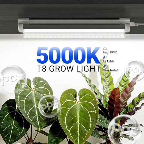 Barrina T8 1FT Grow Light, 5000K Full Spectrum LED Grow Light Strip, 6 Pack