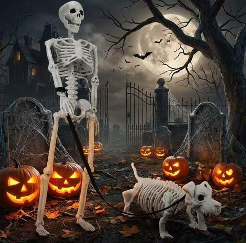 Lighted Human & Dog Skeleton Halloween Decorations Outdoor/Indoor