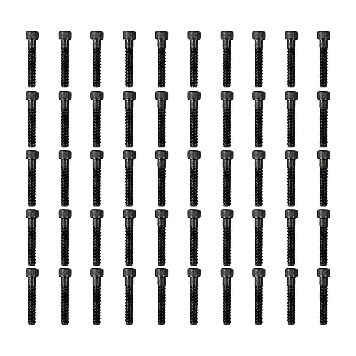 Atomik 3/8 x 2 inch Long Alloy Steel Bolts 50 Pack Durable Hardware for Rock Climbing Holds 3/8-16 Socket Head Allen Bolt Designed for Indoor Use Wall Supplies