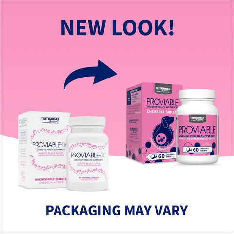 Nutramax Proviable Probiotics + Prebiotics for Dogs, Chewable Tablets, 60ct