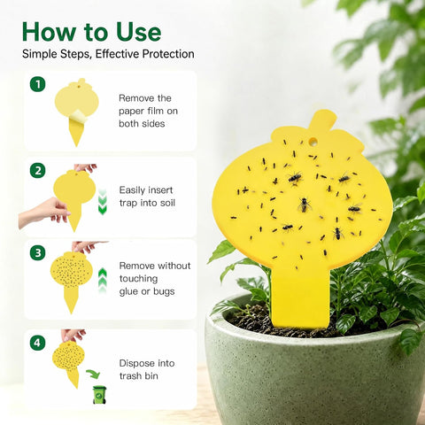 Yellow Sticky Traps for Fruit Fly, Whitefly, Fungus Gnat, Mosquito, Fly and Bug, Sticky Insect Catcher Traps for Indoor/Outdoor/Kitchen, Extremely Sticky, Non-Toxic, Pet & Kid Safe (48 Pcs B)
